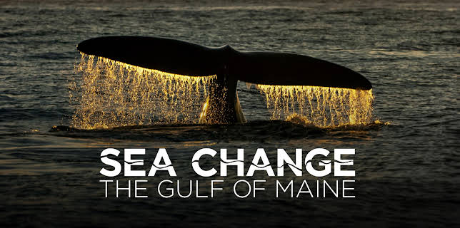 Sea Change: The Gulf of Maine, A NOVA Special Presentation, Season 1