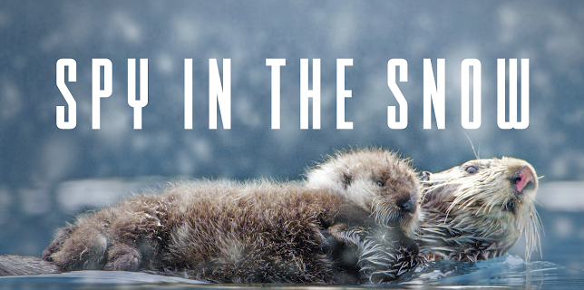 Spy in the Snow (2022)