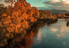 World's Most Scenic River Journeys