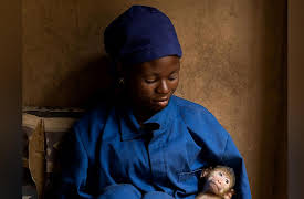 Malawi Wildlife Rescue: Chasing Freedom