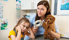 Waffle the Wonder Dog