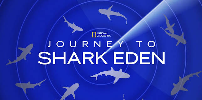 Journey to Shark Eden (2010)
