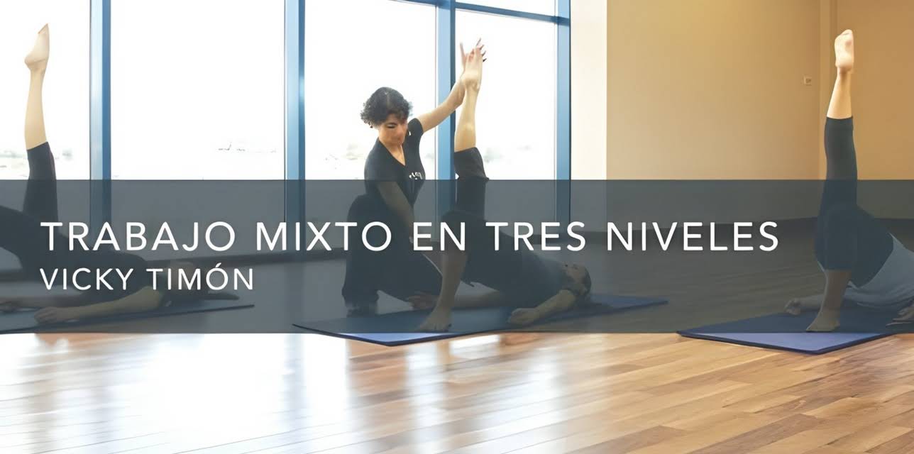 Trabajo mixto en tres niveles (2016)
