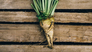 13:24: How Do They Do It? (S15 E16) (S15) | Discovery Science | 12/28 2025