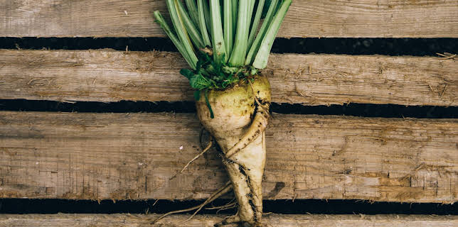 12:24: How Do They Do It? (S15 E16) (S15) | Discovery Science | 11/2 2025