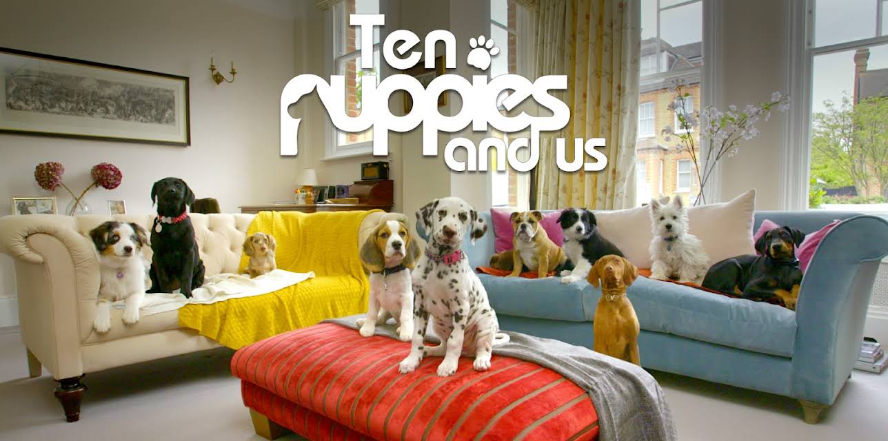 10 Puppies And Us