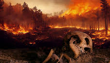 Katastrophen der Erdgeschichte