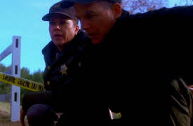 NCIS: Episode 14
