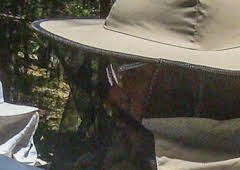 ¿Cómo lo hacen?: Episodio 10