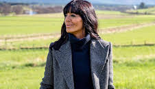 The Celebrity Traitors