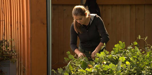 15:30: Geschichten vom Hof | SWR Fernsehen BW | 1/11 2026