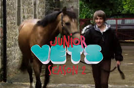 Junior Vets: Problem Solvers