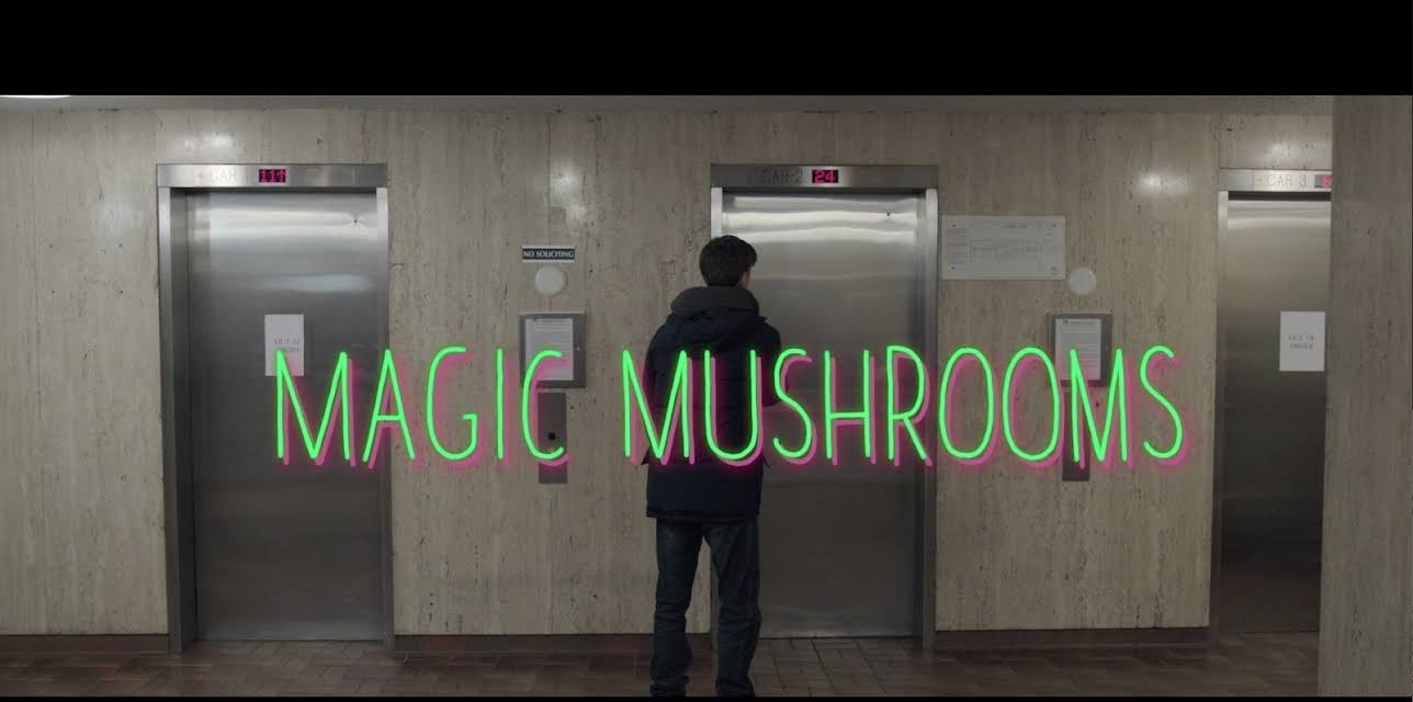 Magic Mushrooms (2017)
