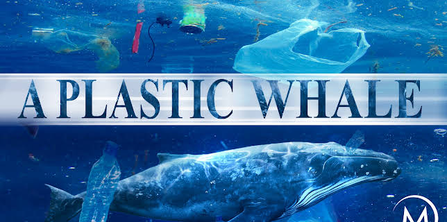 A Plastic Whale (2017)