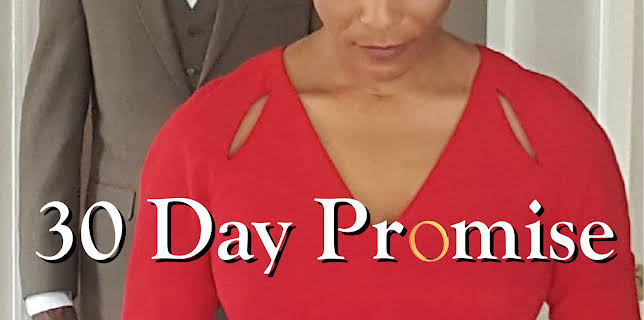 30 Day Promise (2017)