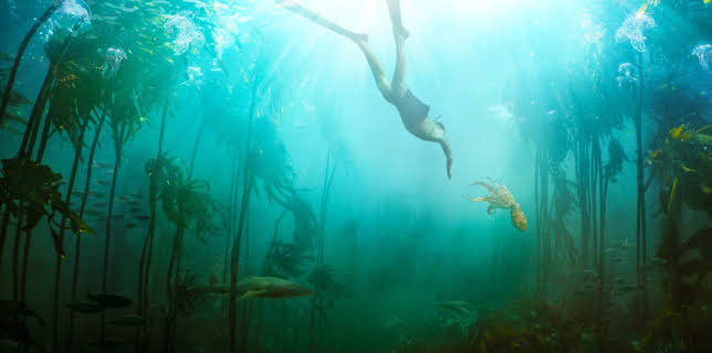 Lo que el pulpo me enseñó (2020)