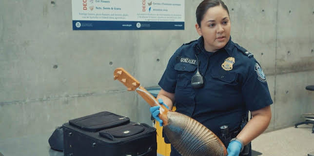 10:25: Border Patrol USA - Einsatz an Mexikos Grenze | ProSieben Maxx | 2/3 2026