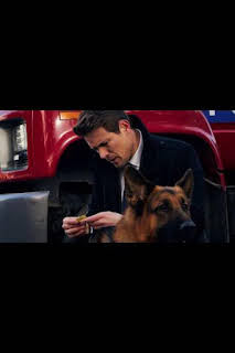 11:54: Hudson y Rex (T1): Ep.10 El arte de la oscuridad | AXN | 4/2 2026