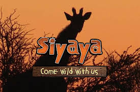 Siyaya – Come Wild With Us: Place of Big Noise