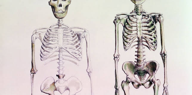 12:40: Unerklärliche Phänomene - Ancient Aliens (S8 E5) (S8) | Kabel Eins Doku | 6/11 2025