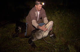 Risk Takers: Alligator Trappers