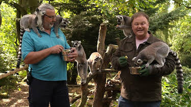 9:45 AM: Something Special (S13) | Cbeebies | 8/24 2026