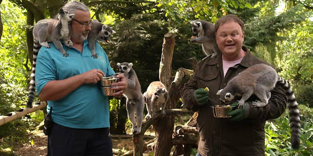 1:45 PM: Something Special (S13) | Cbeebies | 11/11 2025