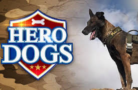 Hero Dogs Season 1: Jjackson: 16 Hours Under Fire