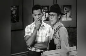 The Bob Cummings Show: Bob Goes Bird Watching