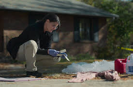 Missing: Dead or Alive?: Avsnitt 1