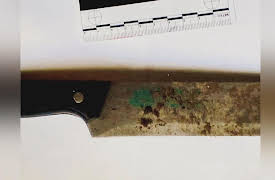 Crime Time Solvers: Deadly Ambush