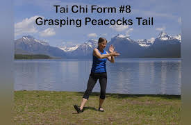 Balance & Strength Exercises for Seniors: 9 Practices with Jane Adams: Tai Chi Form #8 Grasping Peacocks Tail.