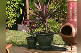 Superscapes: South American Style