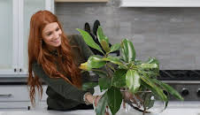 No Demo Reno - Umbau ohne Abriss