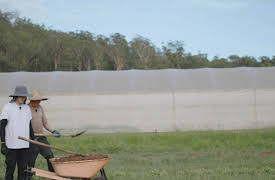 Busan Boys: Sydney Bound: Episode 4