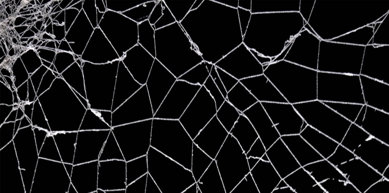 Puscifer: Parole Violator (2023)