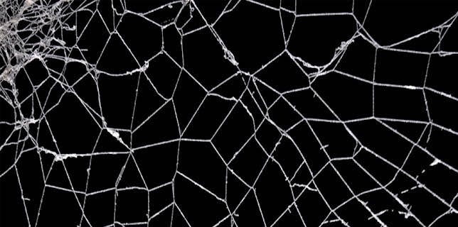 Puscifer: Parole Violator (2023)