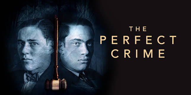 The Perfect Crime (2016)