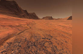 Life in Our Universe: Terraforming a Planet