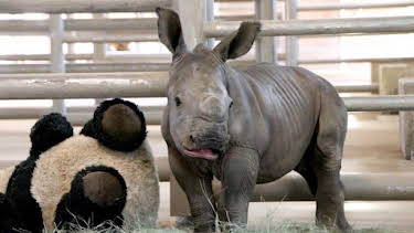 3:00 PM: The Zoo: San Diego (S2) | Discovery Channel | 9/22 2026
