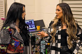 AEW: All Access, Season 1: Life on the Ropes