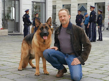 00:15: Kommissar Rex | Sat1 | 4/14 2026