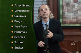 The Philosopher's Toolkit: How to Be the Most Rational Person in Any Room: Visualizing Concepts and Propositions