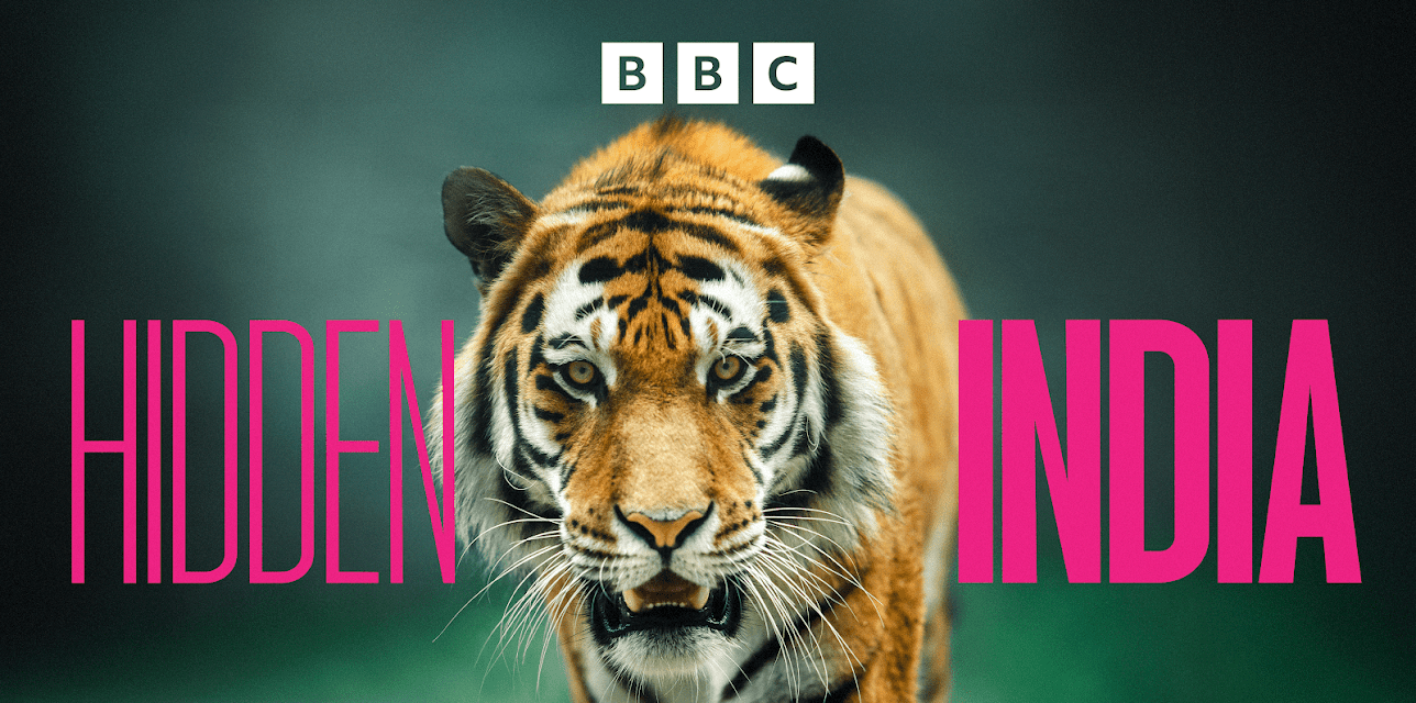 Hidden India
