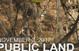 The Hunting Public: November 3 - Public Land: Proven Rut Stands, Tall 8 Encounter