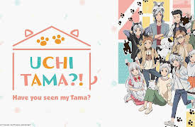 Uchitama?! Have You Seen My Tama?: Season 1: Have You Seen My Tama? / Dog Meeting / Our Waiha
