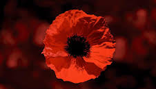 Royal British Legion Festival of Remembrance