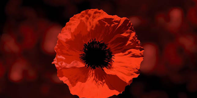 9:00 PM: Royal British Legion Festival of Remembrance | BBC One Channel Islands | 11/8 2025