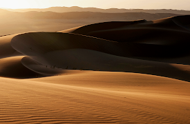 Eden: Untamed Planet: Namib: Skeleton Coast and Beyond