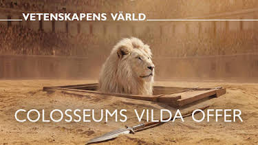 23:20: Vetenskapens värld: Colosseums vilda offer | SVT2 | 10/14 2026